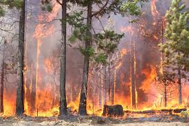 opisywanie-pogody-po-angielsku